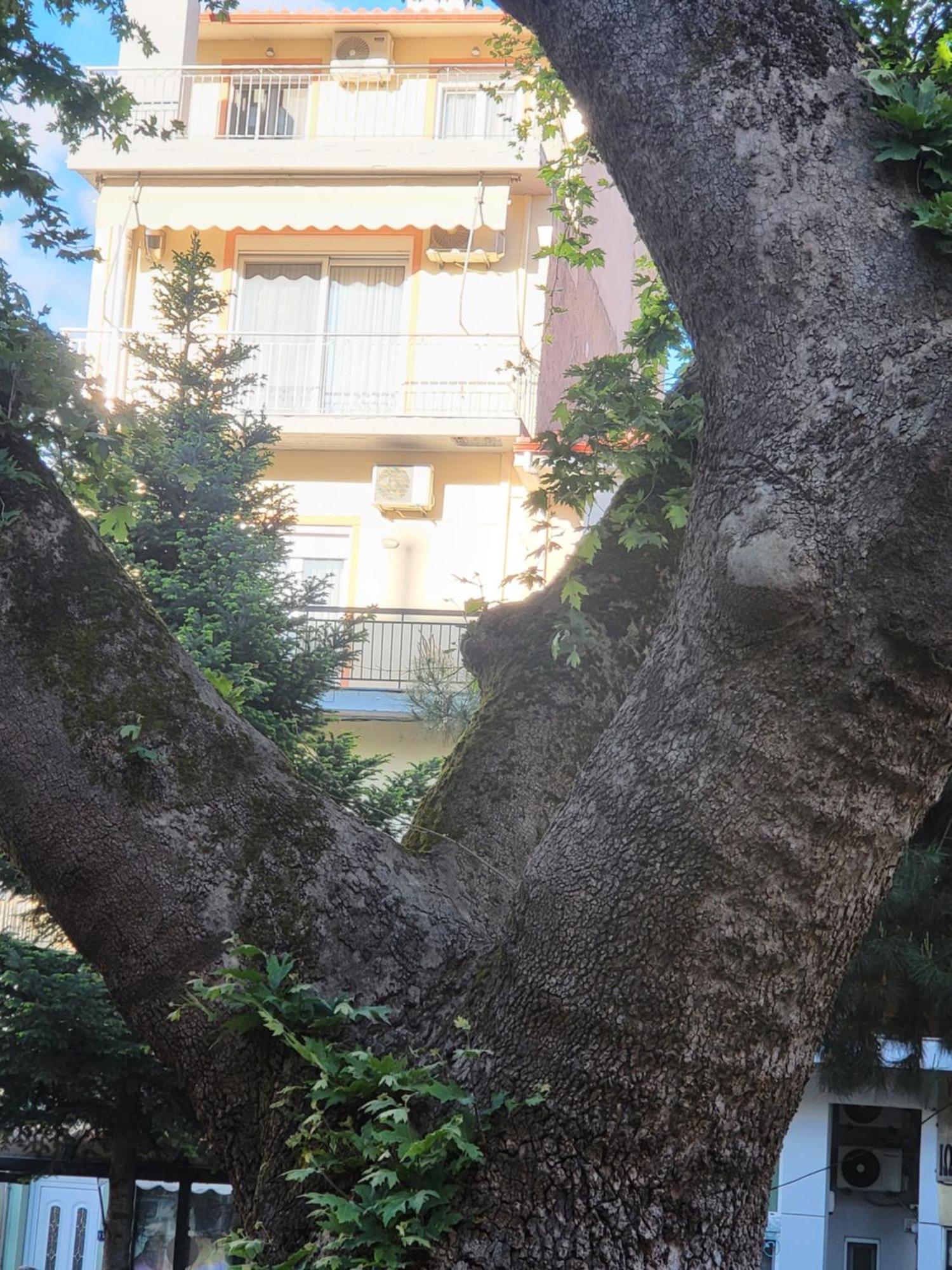יואנינה Platanakia Houses מראה חיצוני תמונה